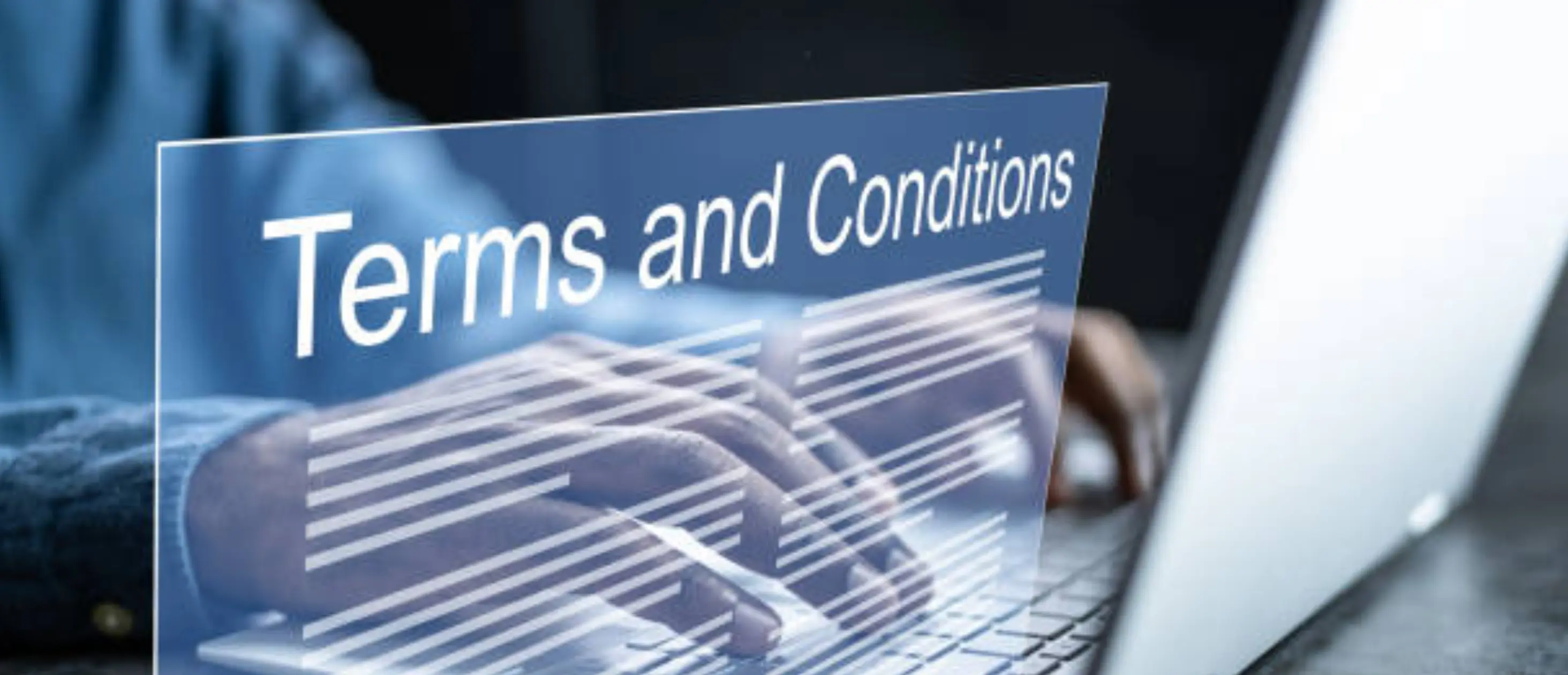 Terms and Conditions